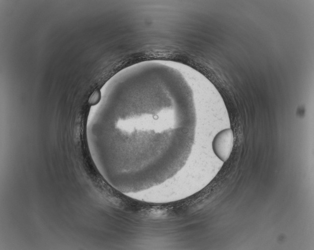 X0000116830647201001291644