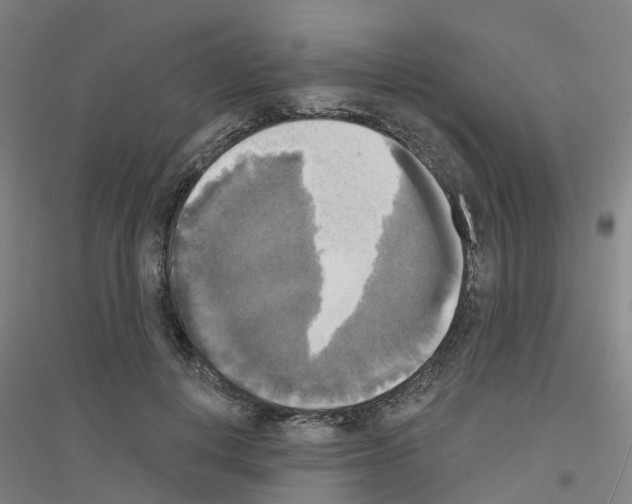 X0000116830648201001291644