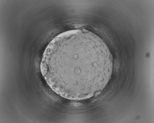 X0000116830650201001291644