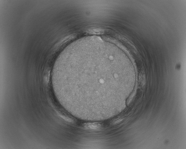 X0000116830652201001291644