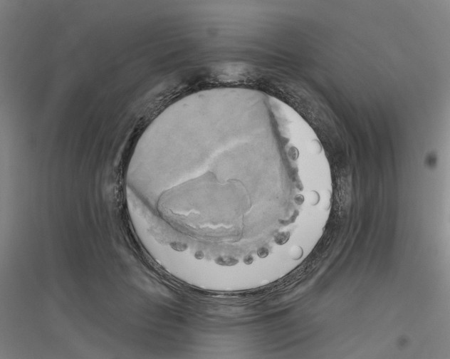 X0000116830653201001291644