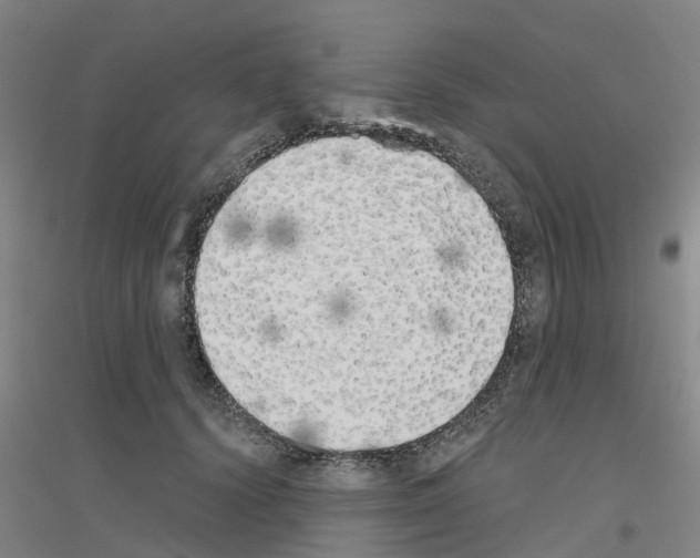 X0000116830656201001291644