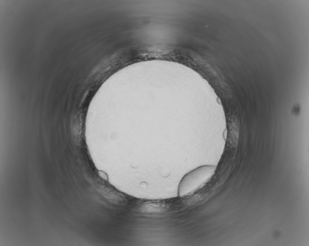 X0000116830657201001291644