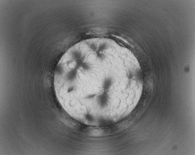 X0000116830658201001291644