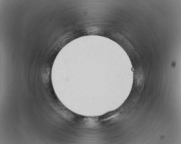 X0000116830660201001291644