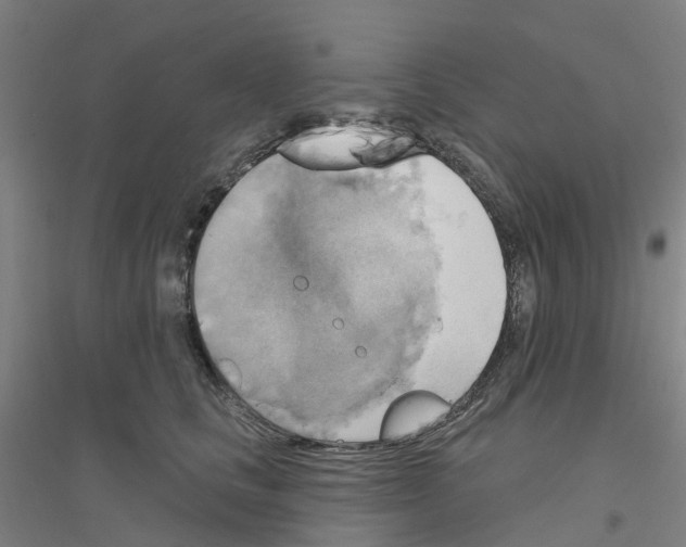 X0000116830661201001291644