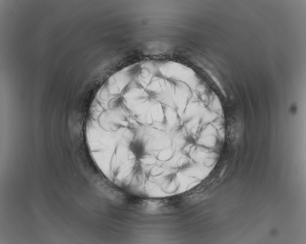 X0000116830662201001291644