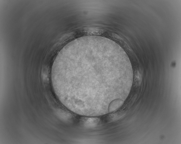 X0000116830663201001291644