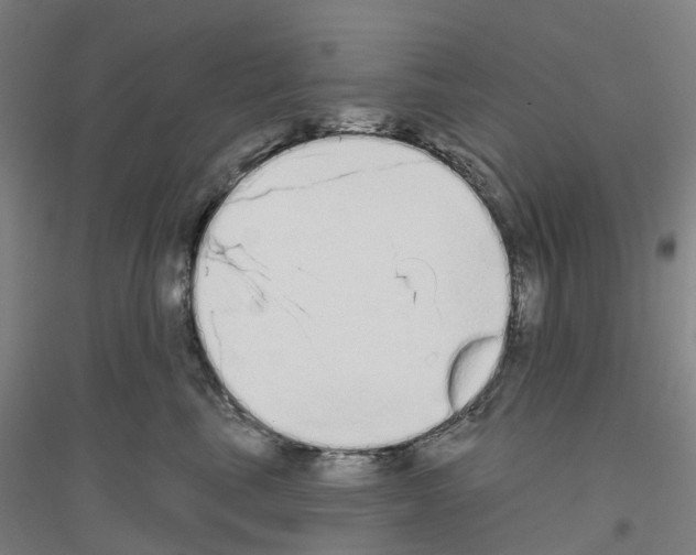 X0000116830665201001291644