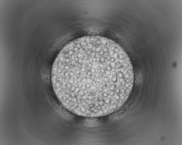 X0000116830666201001291644