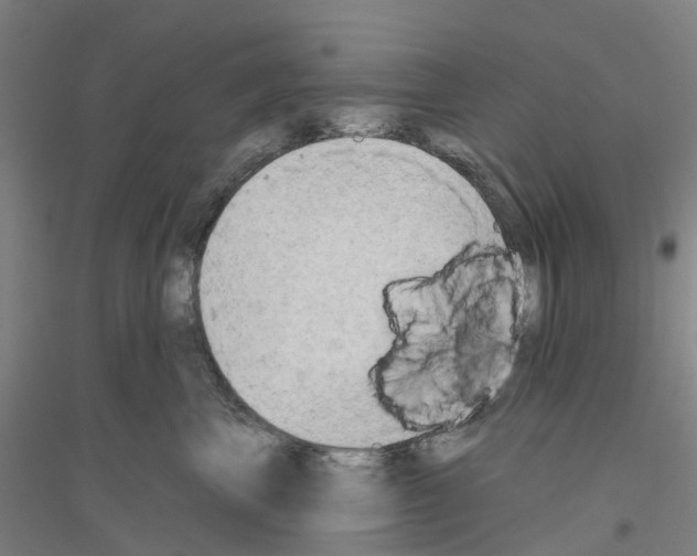 X0000116830667201001291644