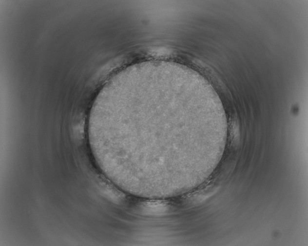 X0000116830668201001291644