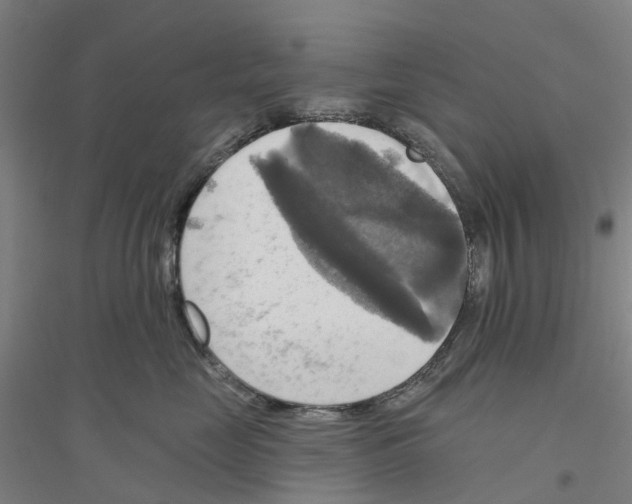 X0000116830669201001291644