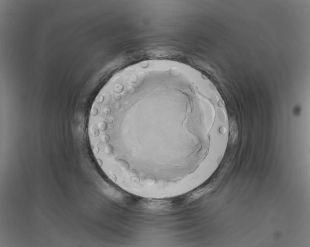 X0000116830670201001291644