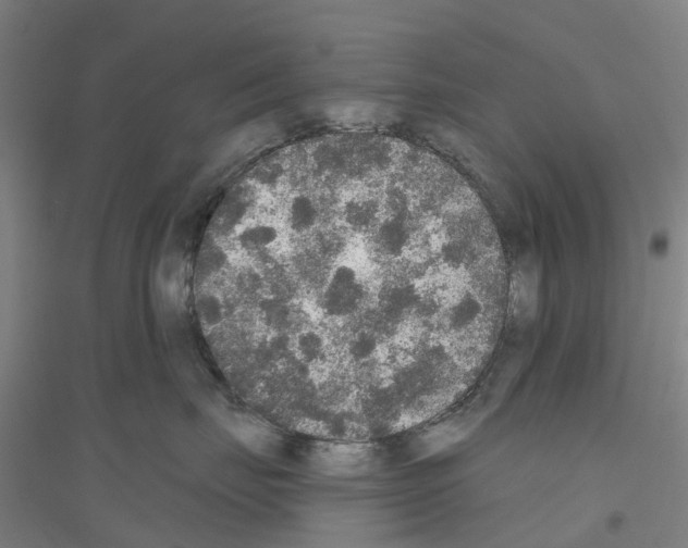 X0000116830671201001291644