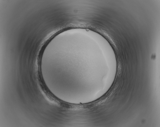 X0000116830674201001291644