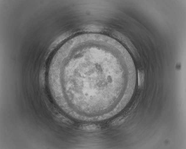 X0000116830675201001291643