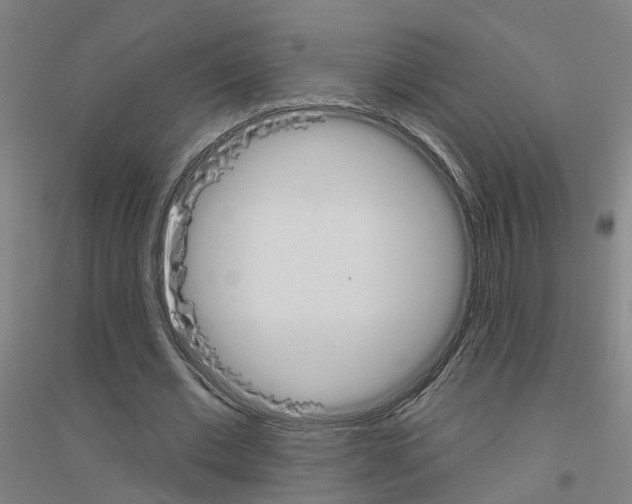 X0000116830677201001291643