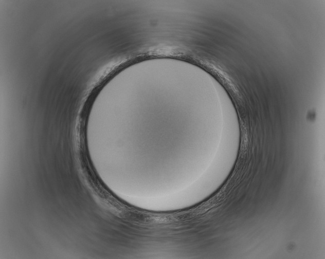 X0000116830678201001291643