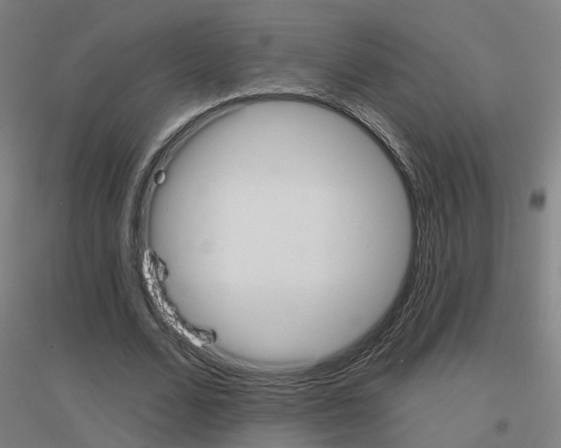 X0000116830680201001291643