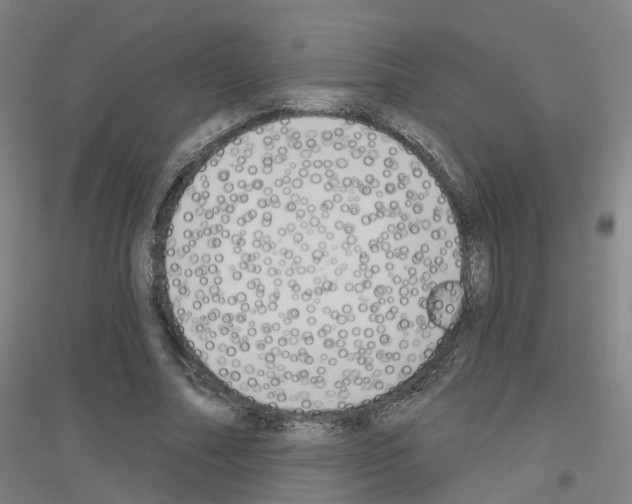 X0000116830682201001291643