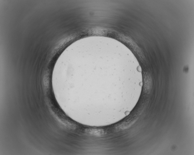 X0000116830683201001291643