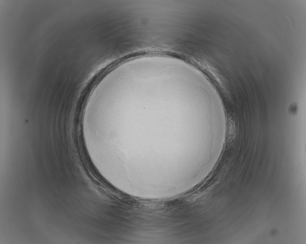 X0000116830684201001291643