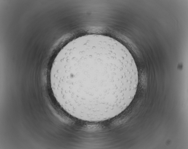 X0000116830686201001291643