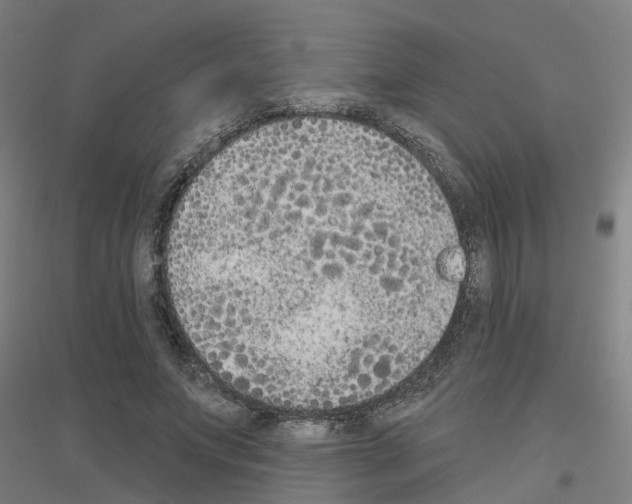 X0000116830687201001291643