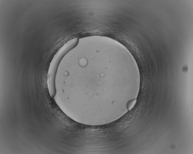 X0000116830689201001291643