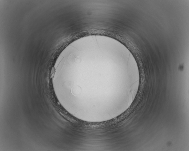 X0000116830692201001291643