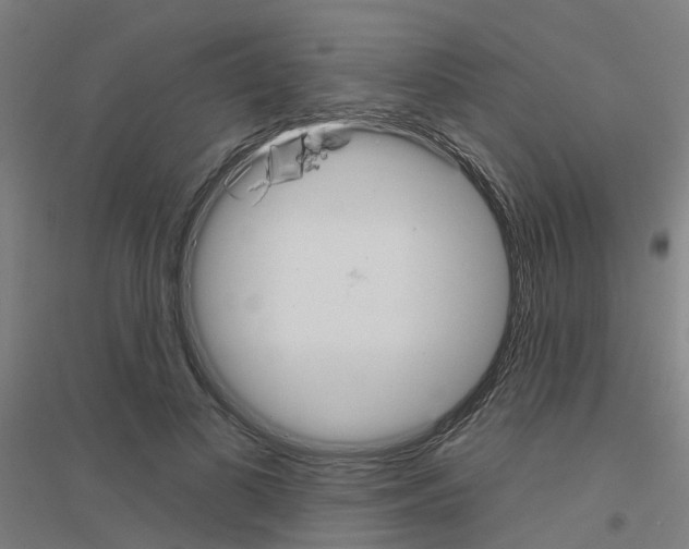 X0000116830693201001291643