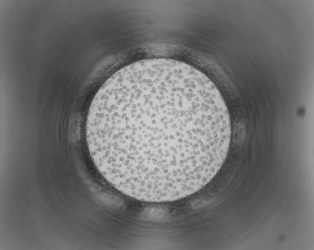 X0000116830694201001291643