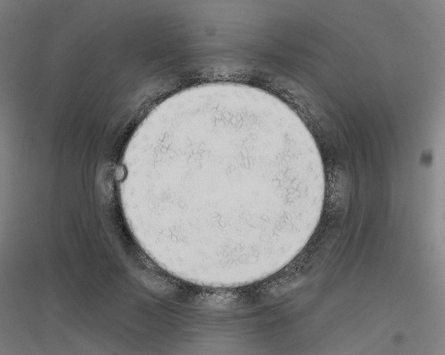 X0000116830695201001291643