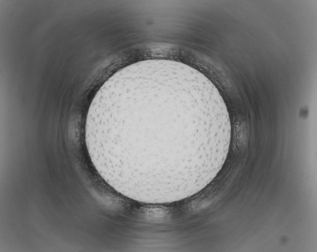 X0000116830698201001291643