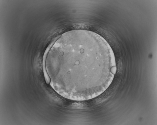 X0000116830699201001291643