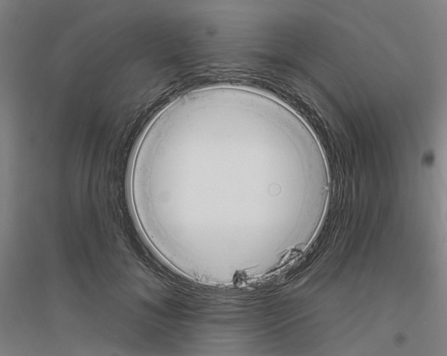 X0000116830700201001291643