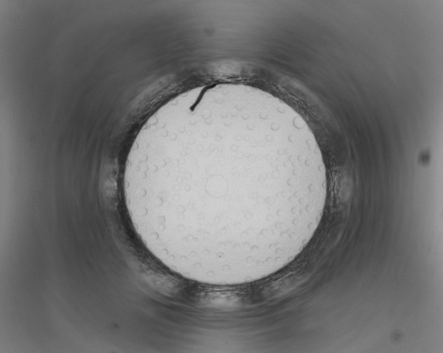 X0000116830702201001291643