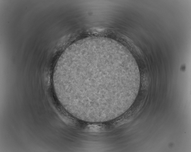 X0000116830703201001291643