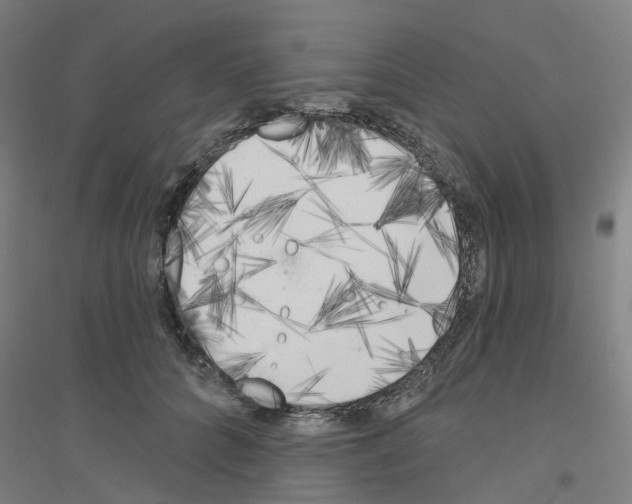 X0000116830704201001291643