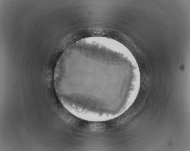 X0000116830707201001291643