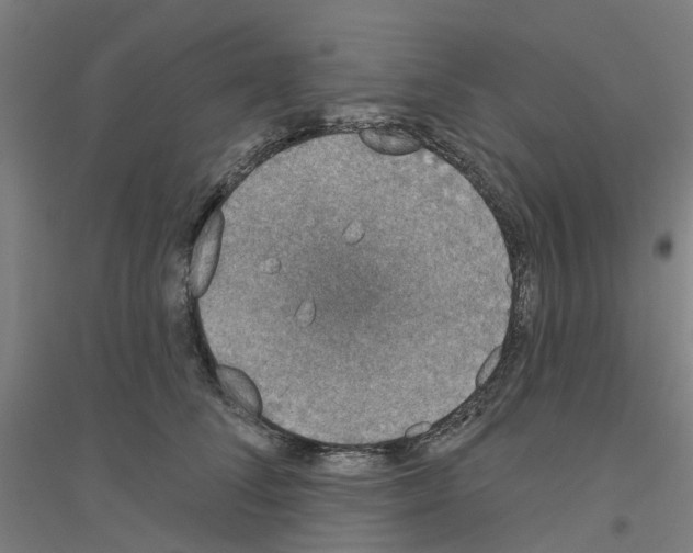 X0000116830708201001291643