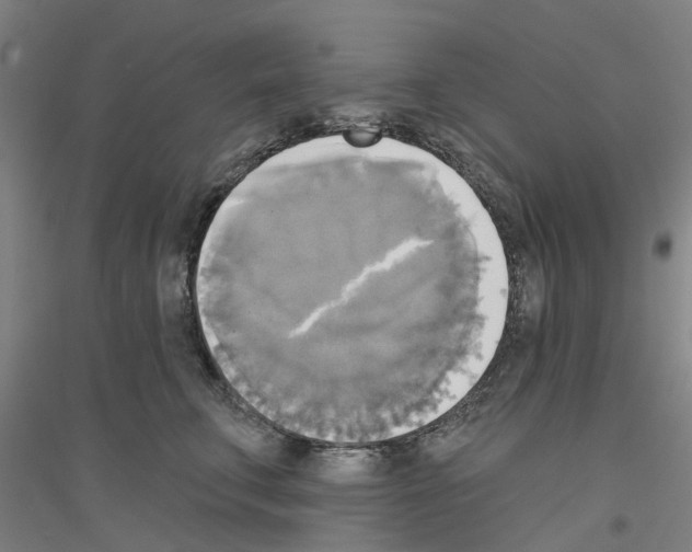 X0000116830711201001291643