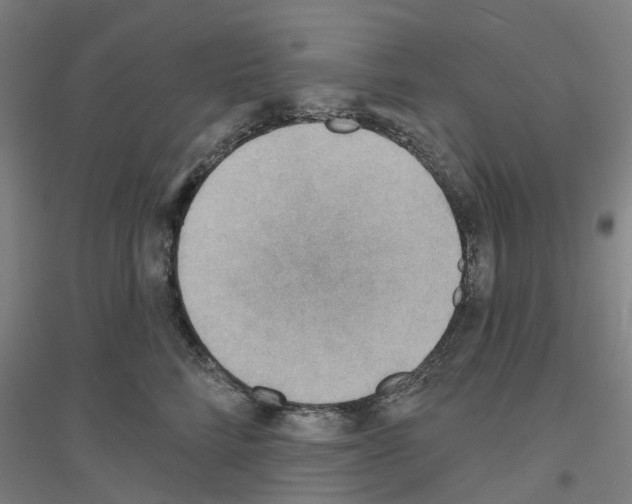 X0000116830712201001291643