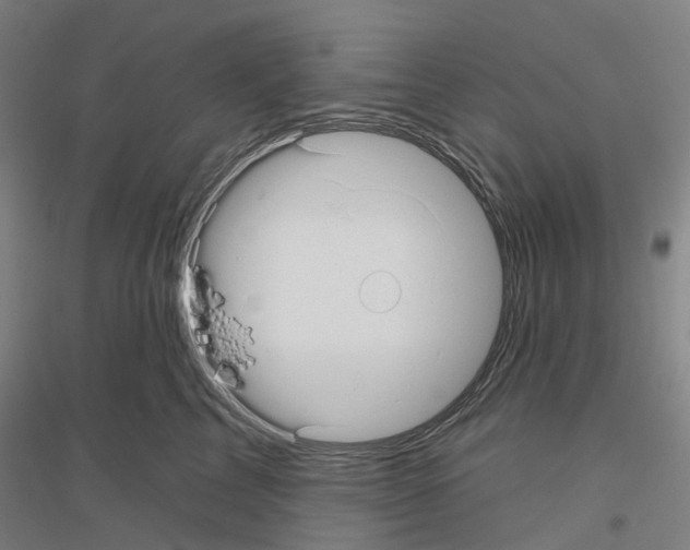 X0000116830713201001291643