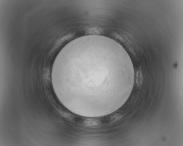 X0000116830714201001291643