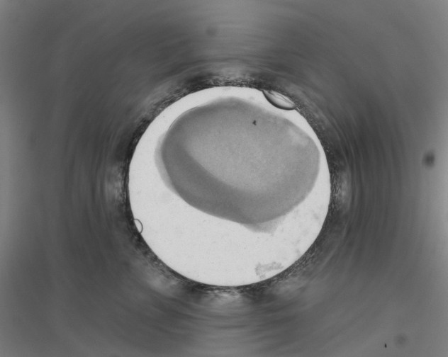 X0000116830715201001291643