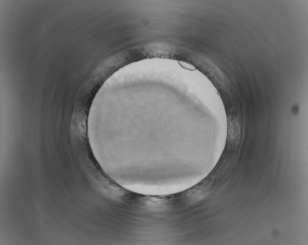 X0000116830718201001291643