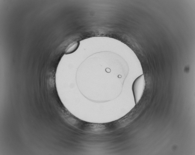 X0000116830719201001291643