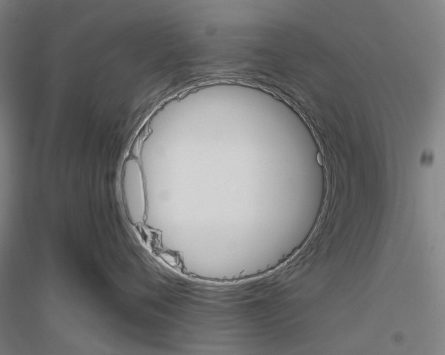 X0000116830720201001291643